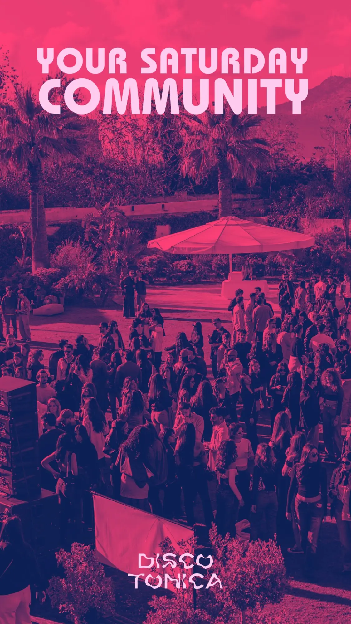Discotonica — contenuto 1