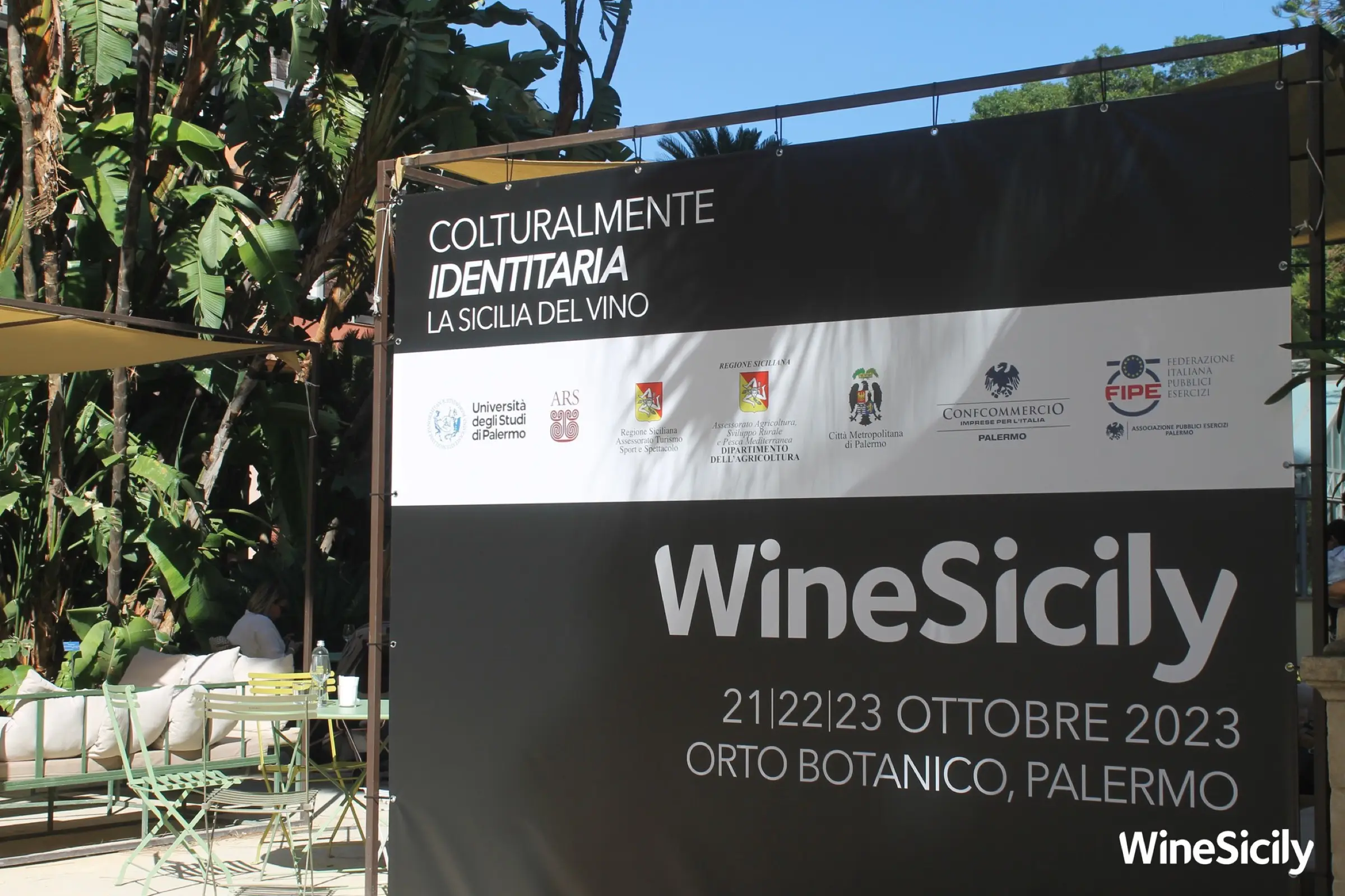 WineSicily — WineSicily